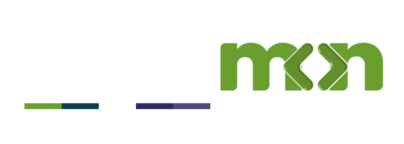 Palamon Digital Logo